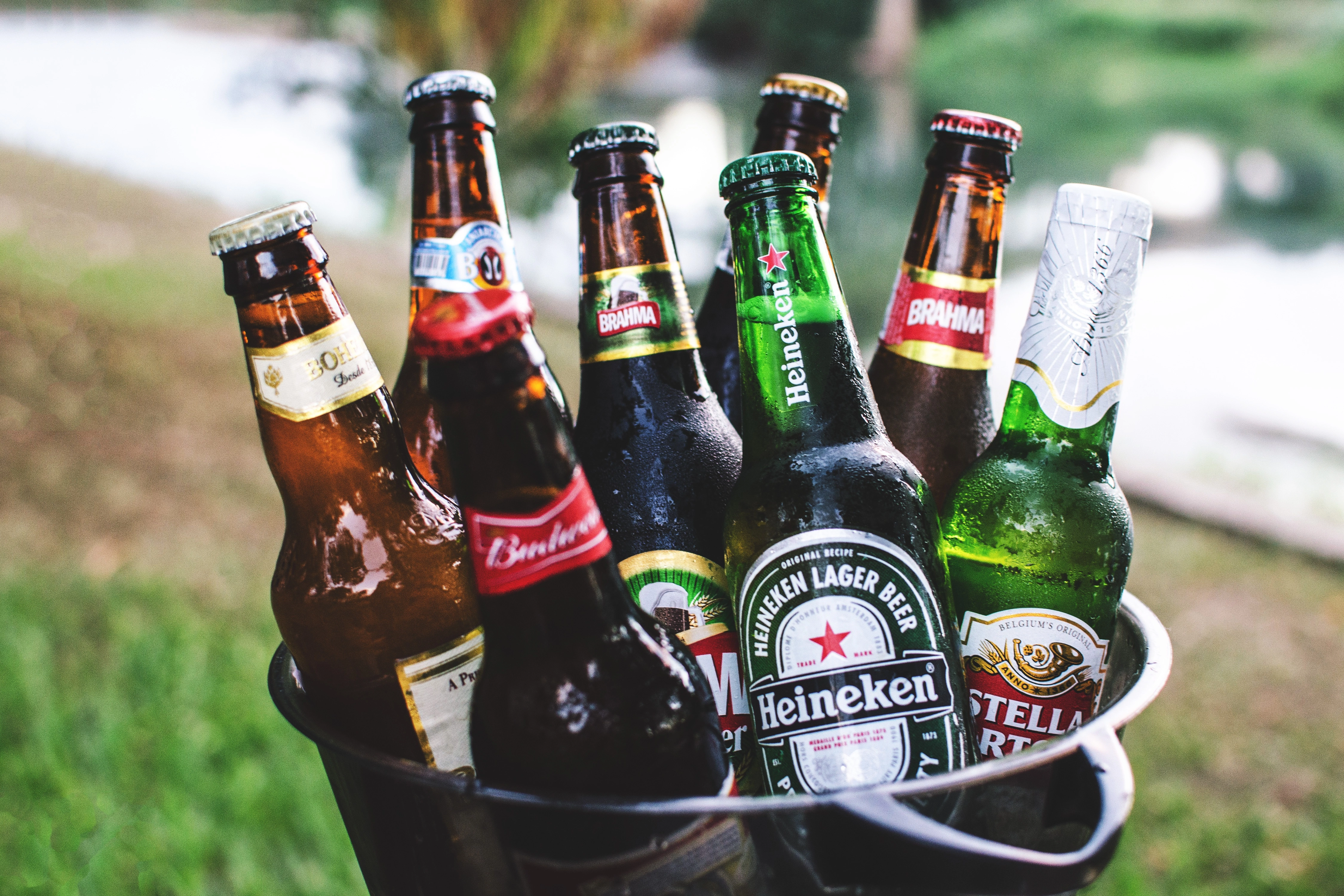 Balde de cerveja gelada